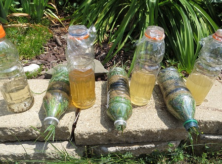 活性炭野外凈水應用